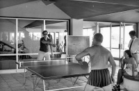1ping-pong