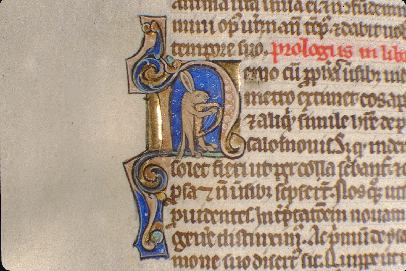 Burgos 10-03